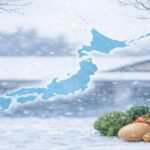 清潔な調理環境と食品管理を表現したイメージ