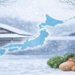 旭川の高齢者施設でノロ集団感染!10人発症の背景は? 日本の暮らしにおける食の安全を示すビジュアル