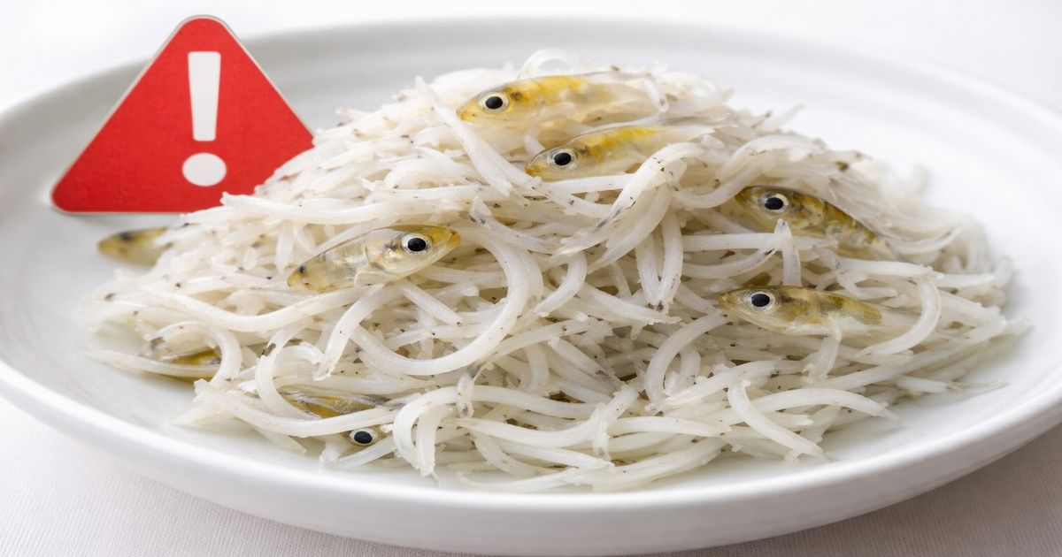 釜揚げしらすに混入したフグの稚魚と注意喚起マーク