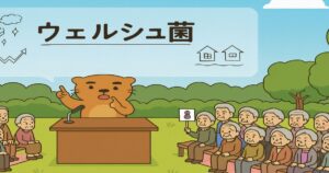 公園でウエルシュ菌について講義するクマ先生と、老人ホームの高齢者たちが座って聞いているイラスト」